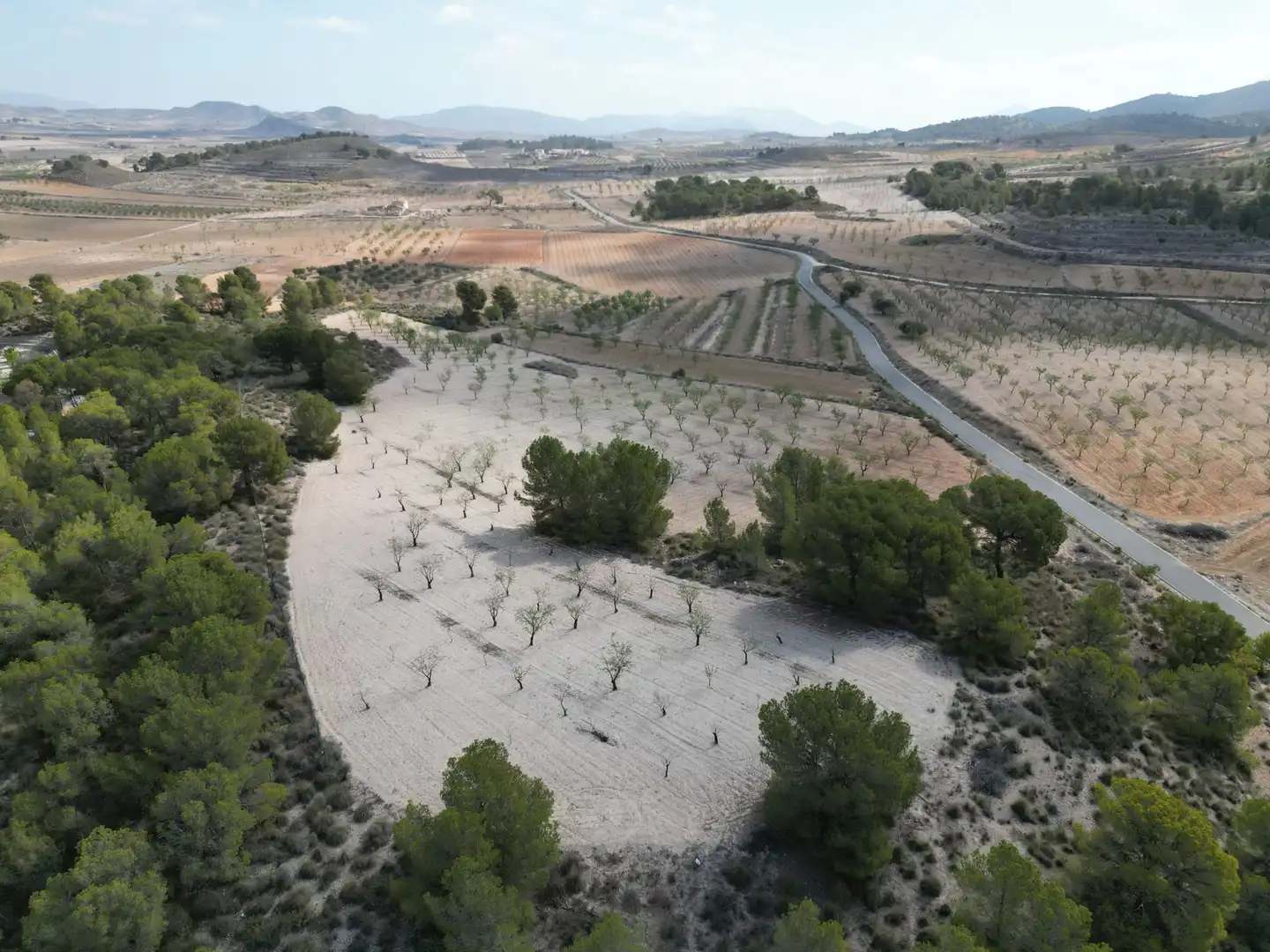 Terreny residencial en venda a Jumilla, imagen 14