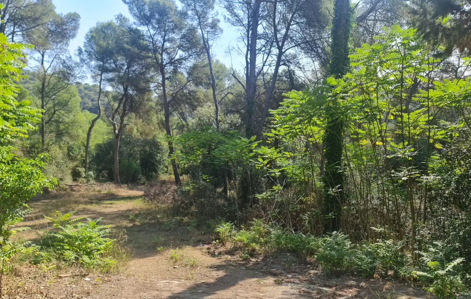 Casa o xalet en venda en Montcada i Reixac amb Aire condicionat, Calefacció i Terrassa