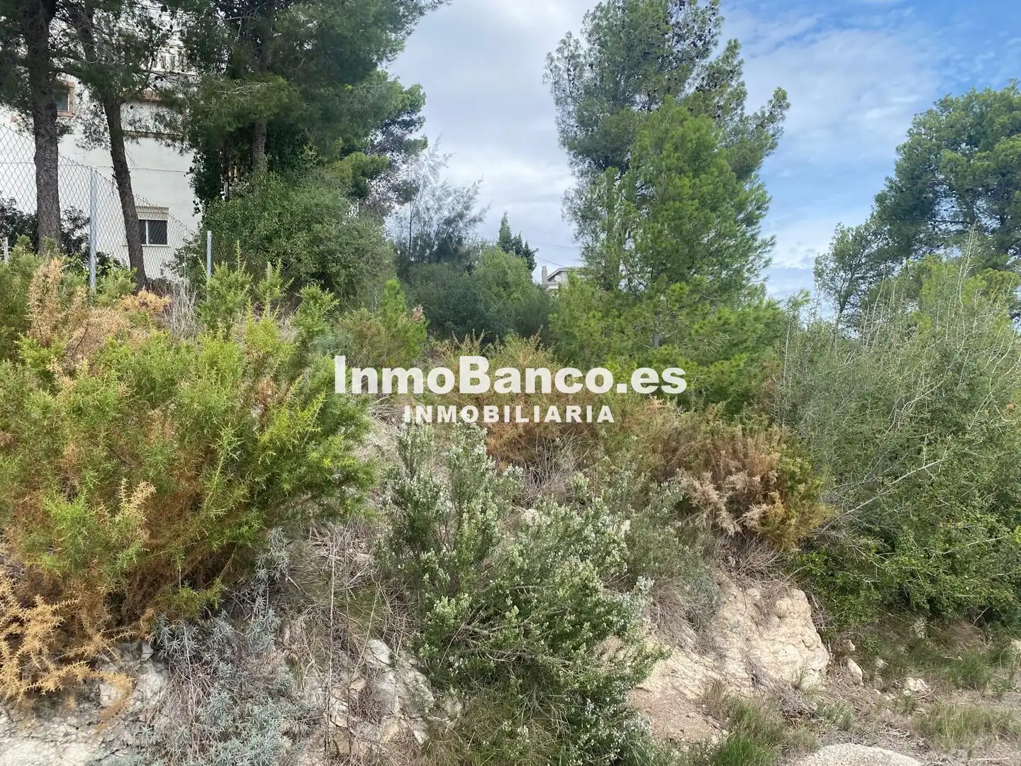 Terreny residencial en venda a Calle Pascual y Genís 869, imagen 9