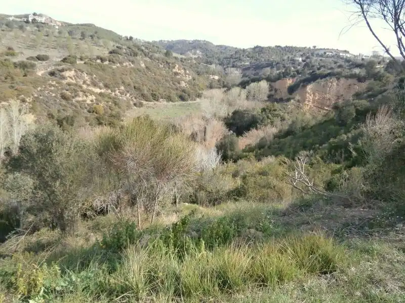 Terrenos y solares en venta en Castellbisbal, imagen 7