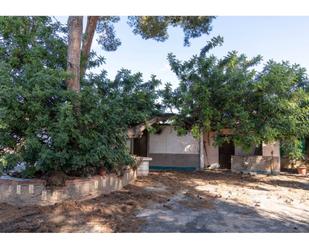 Jardí de Casa o xalet en venda en Borriol amb Jardí privat, Terrassa i Piscina