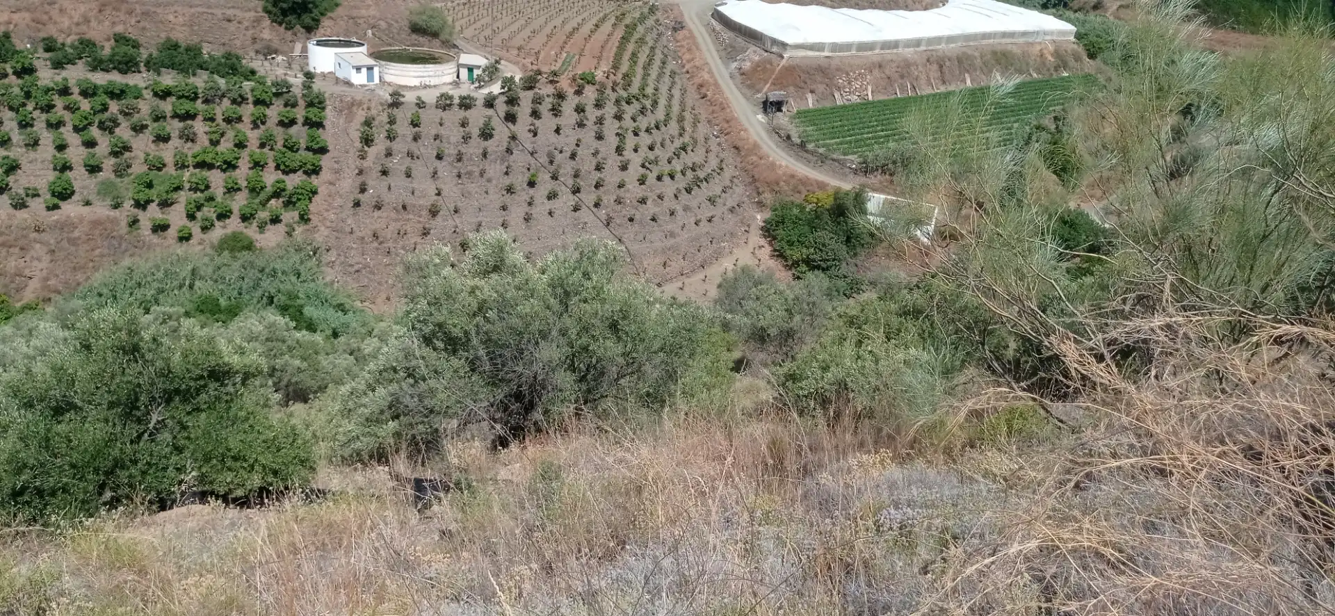 Terreny en venda en Vélez-Málaga