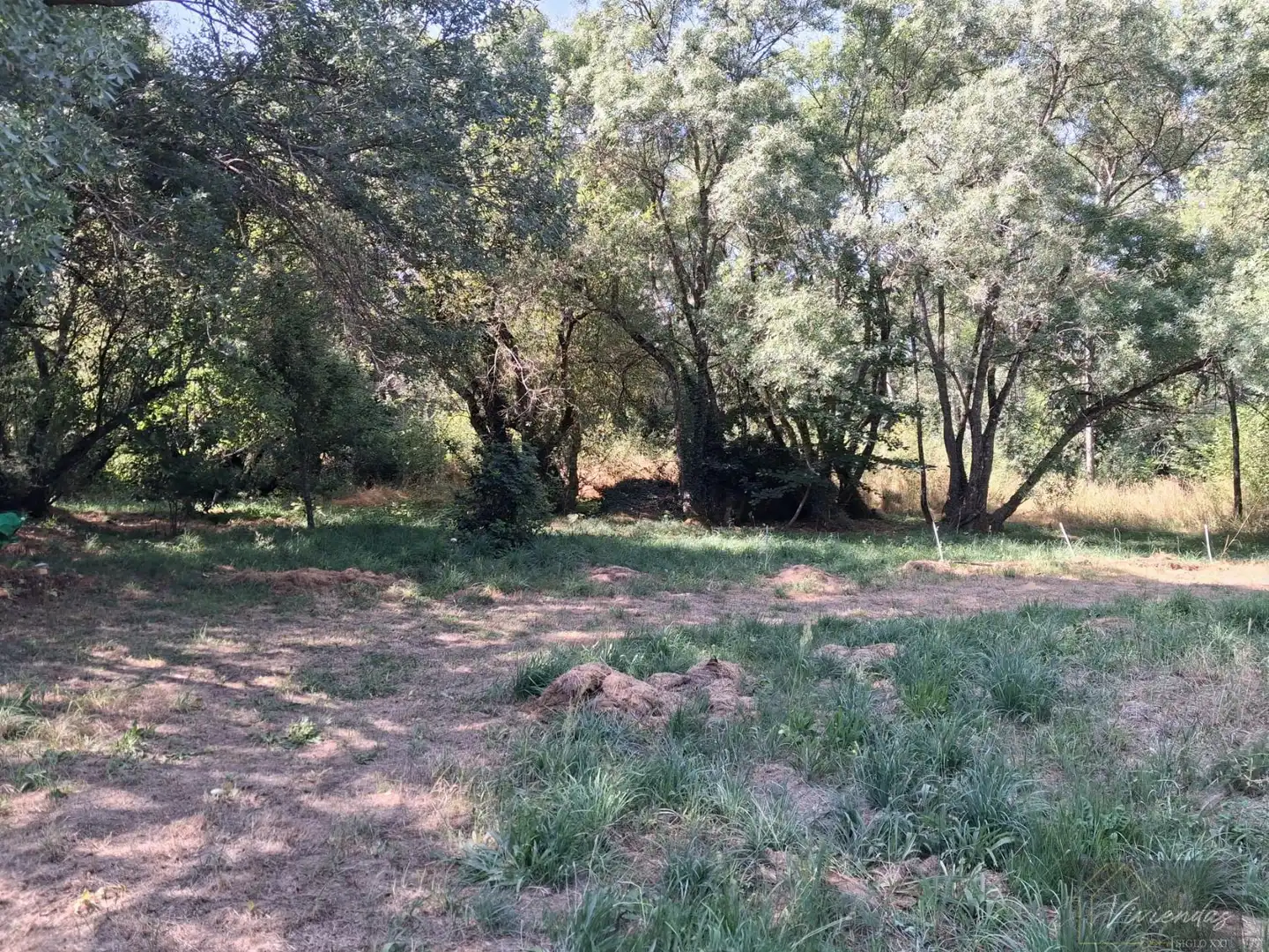 Finca rústica en venta en Bustarviejo