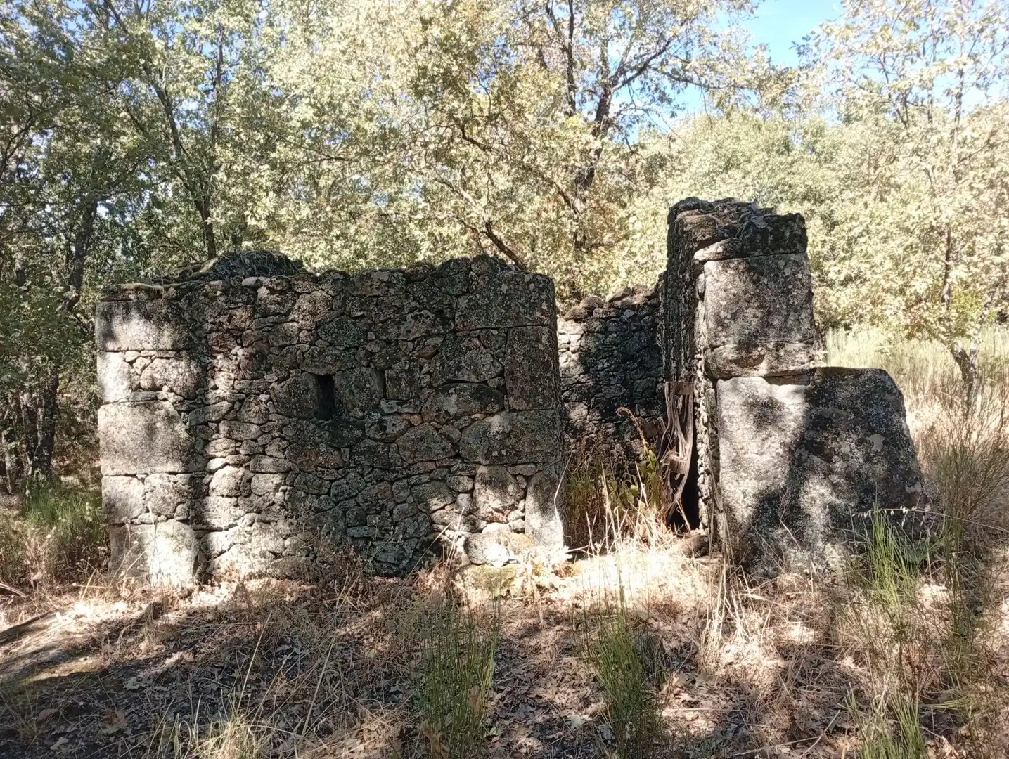 Terreni e lotti in vendita a Villanueva de la Vera, imagen 52