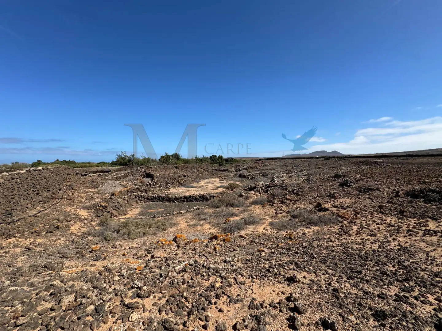 Land for sale in La Oliva