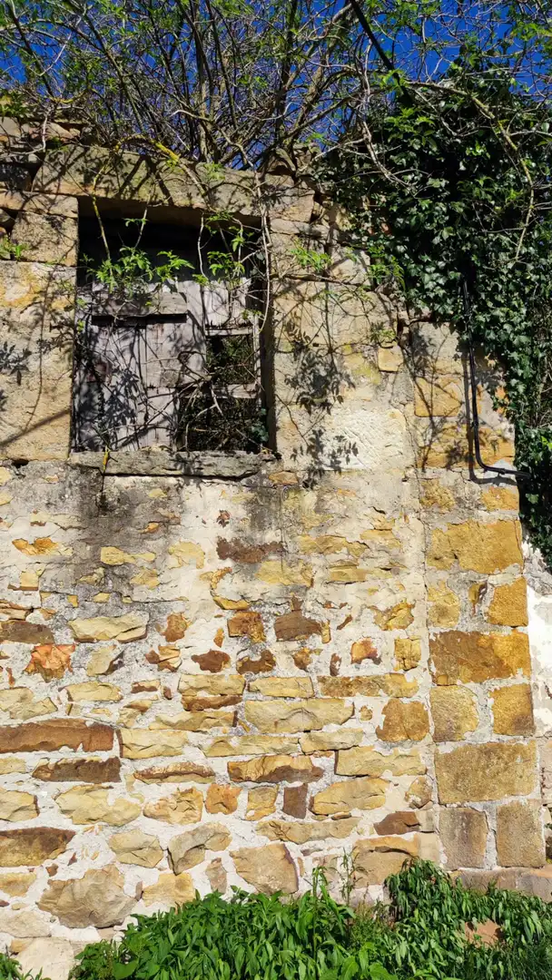 Exterior view of Houses for sale in Corvera de Toranzo  with Private garden