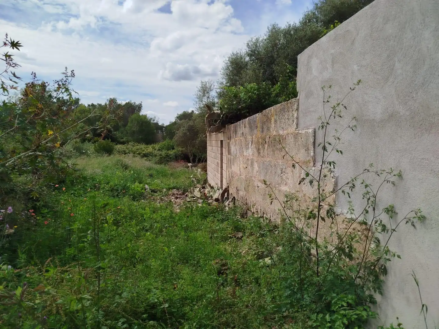 Grundstücke und Bauplätze zum Verkauf in GREGORI CERDO, imagen 7