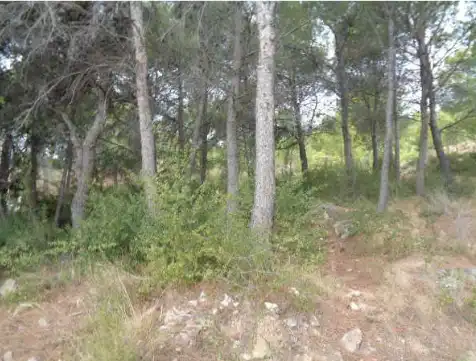 Wohnbaugrundstück zum Verkauf in Carrer el Timonet 383, imagen 4