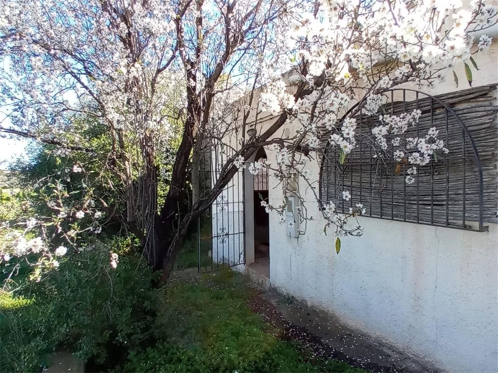 Jardí de Finca rústica en venda en Mojácar amb Jardí privat i Terrassa