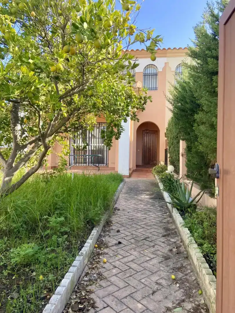 Vista exterior de Casa o chalet en venta en Almonte con Aire acondicionado