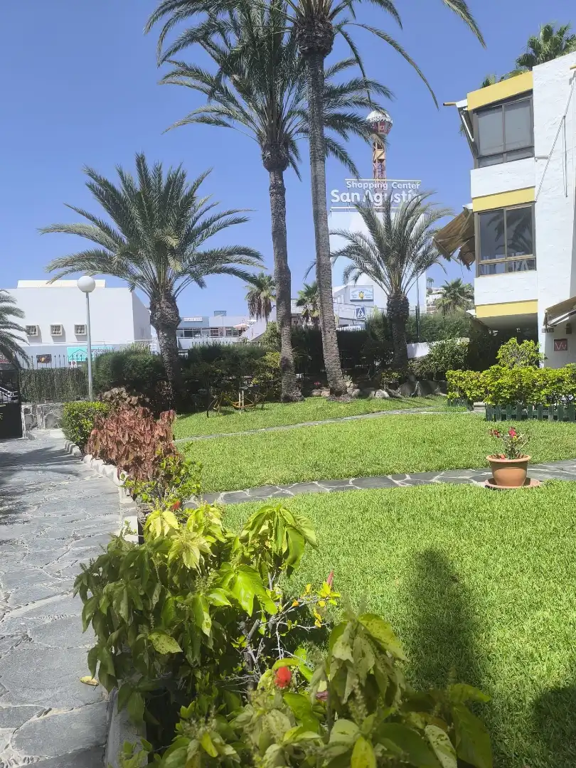 Jardí de Apartament en venda en San Bartolomé de Tirajana amb Aire condicionat, Terrassa i Piscina comunitària