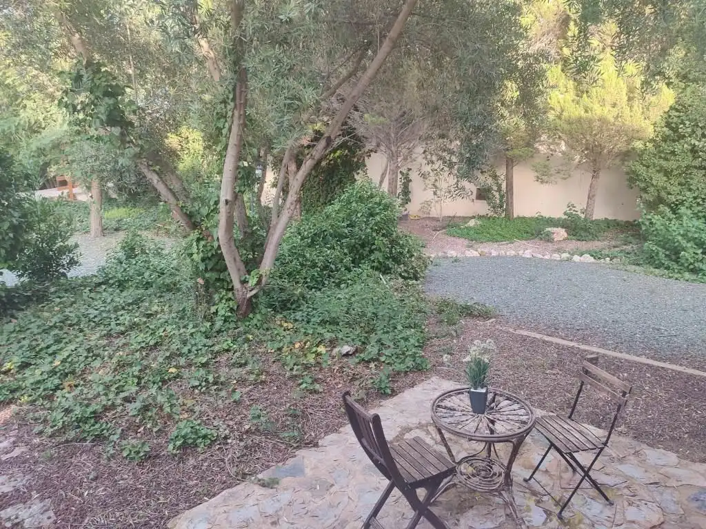 Jardí de Casa o xalet en venda en Totana amb Calefacció, Jardí privat i Terrassa