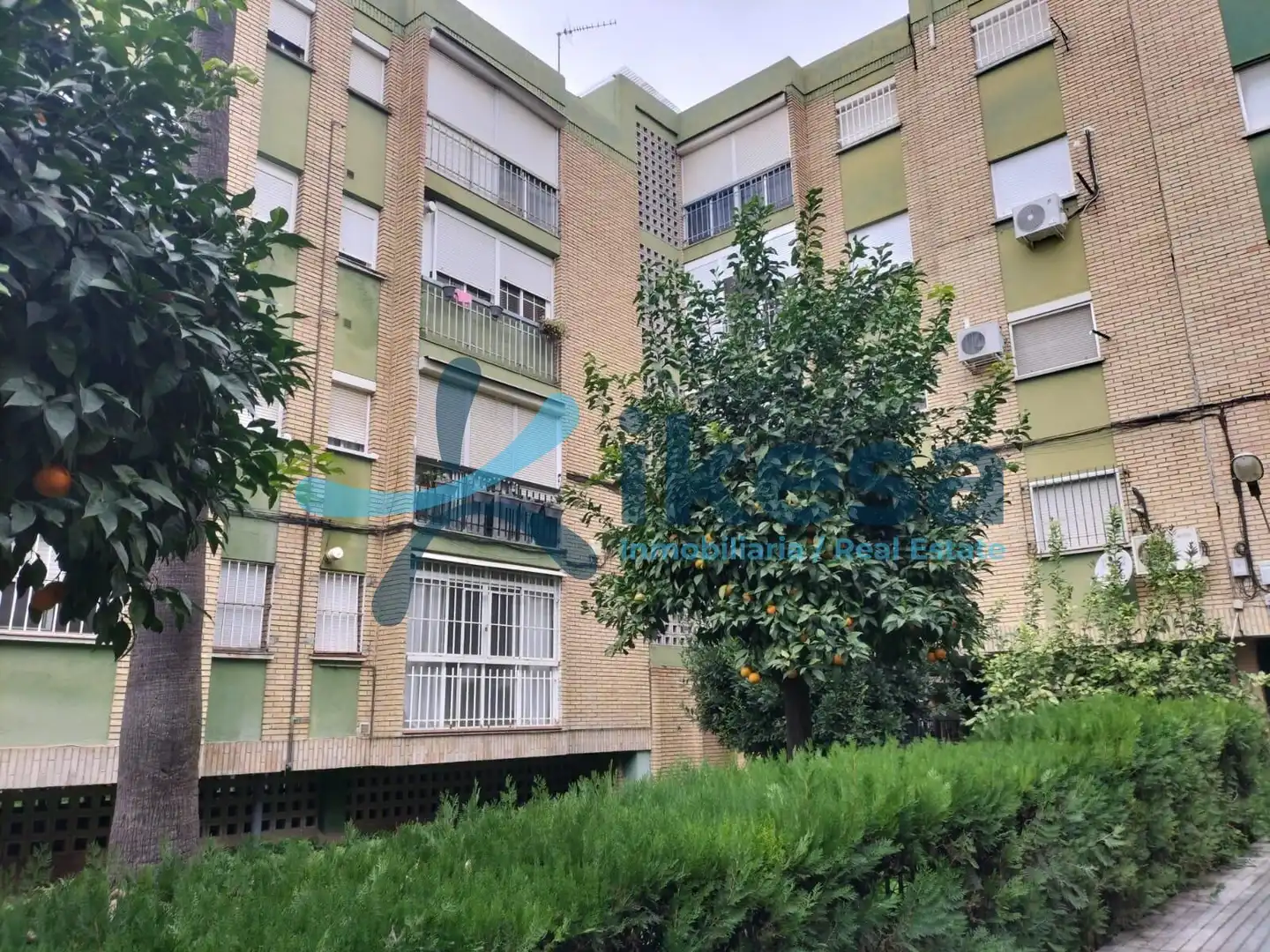 Vista exterior de Apartamento en venta en Castilleja de la Cuesta
