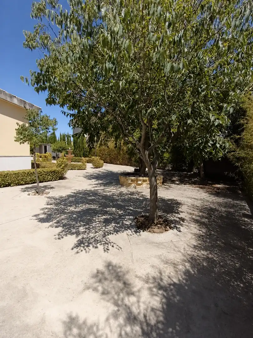 Jardín de Casa o chalet en venta en La Carlota con Aire acondicionado, Jardín privado y Terraza