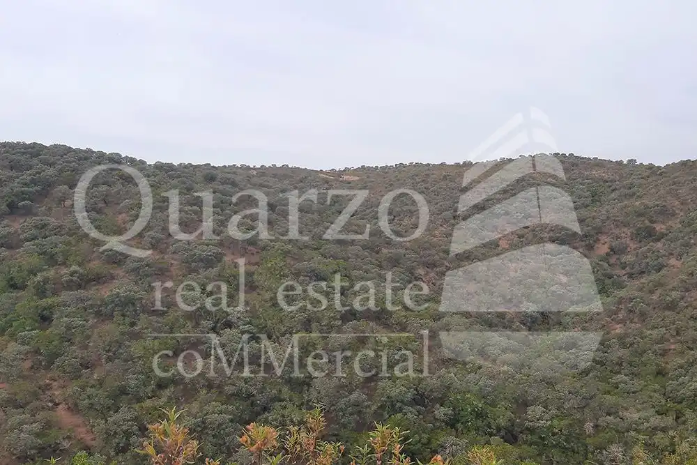 Finca rústica en venda en Herrera de Alcántara