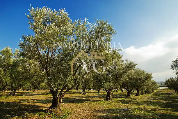 Residential land for sale in Las Pajanosas, imagen 3