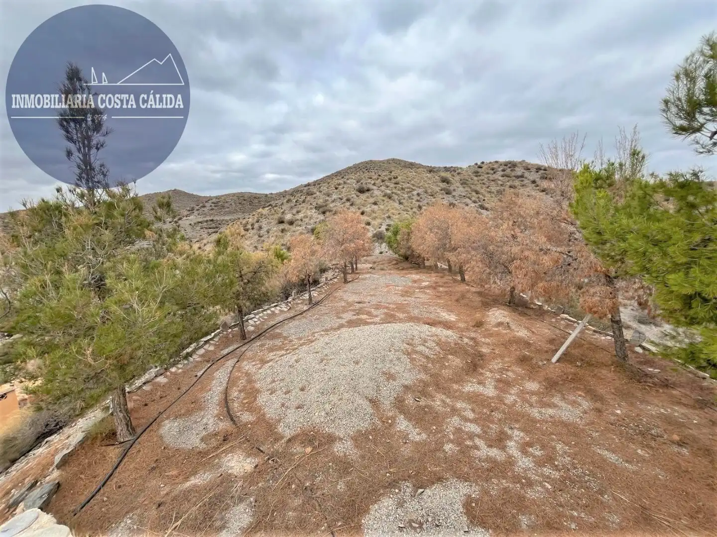 Casa rústica amb jardí en venda a Diseminado el Charcon, imagen 13
