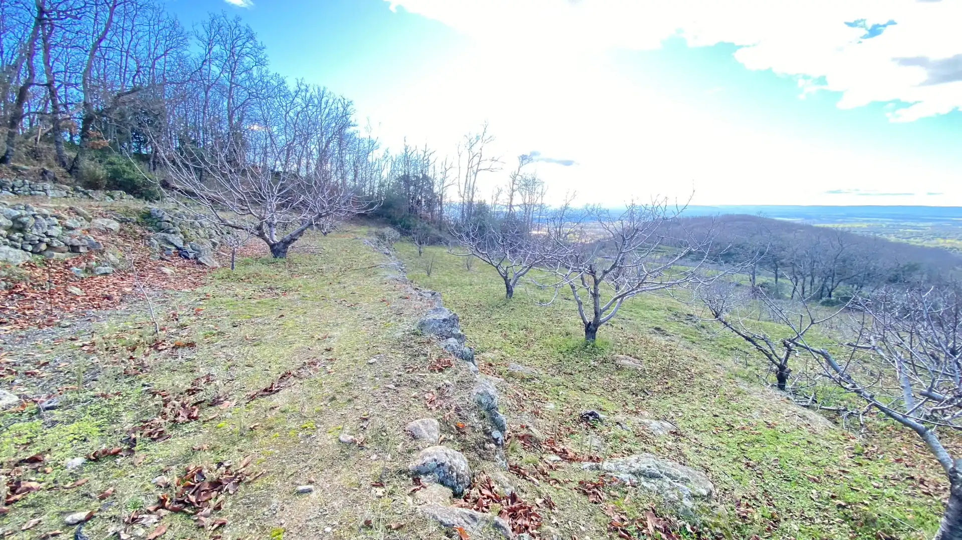Terreni e lotti in vendita a Pasarón de la Vera, imagen 20