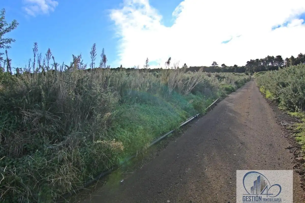 Finca rústica en venta en Los Realejos