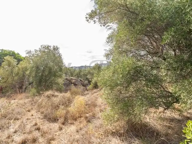 Terreni e lotti in vendita a Torrox Pueblo, imagen 6