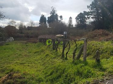 Terreno residenziale in vendita a Mos