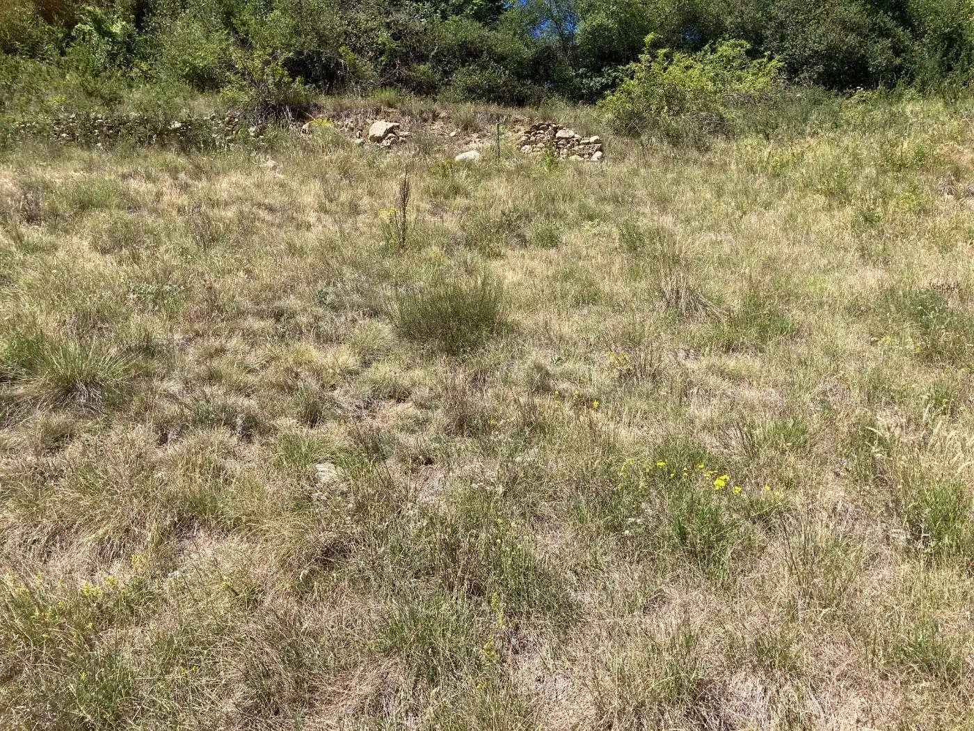 Residential land for sale in Route de Llivia 9, imagen 6
