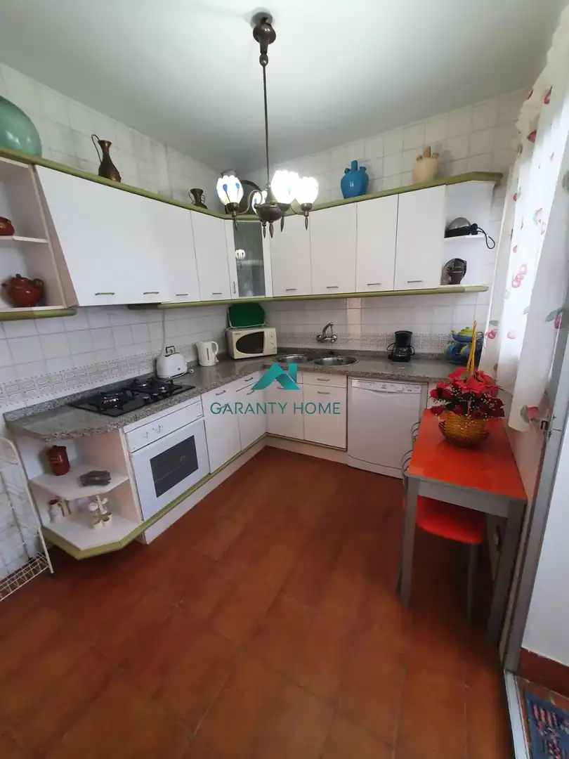 Detached homes for rent in Trayamar