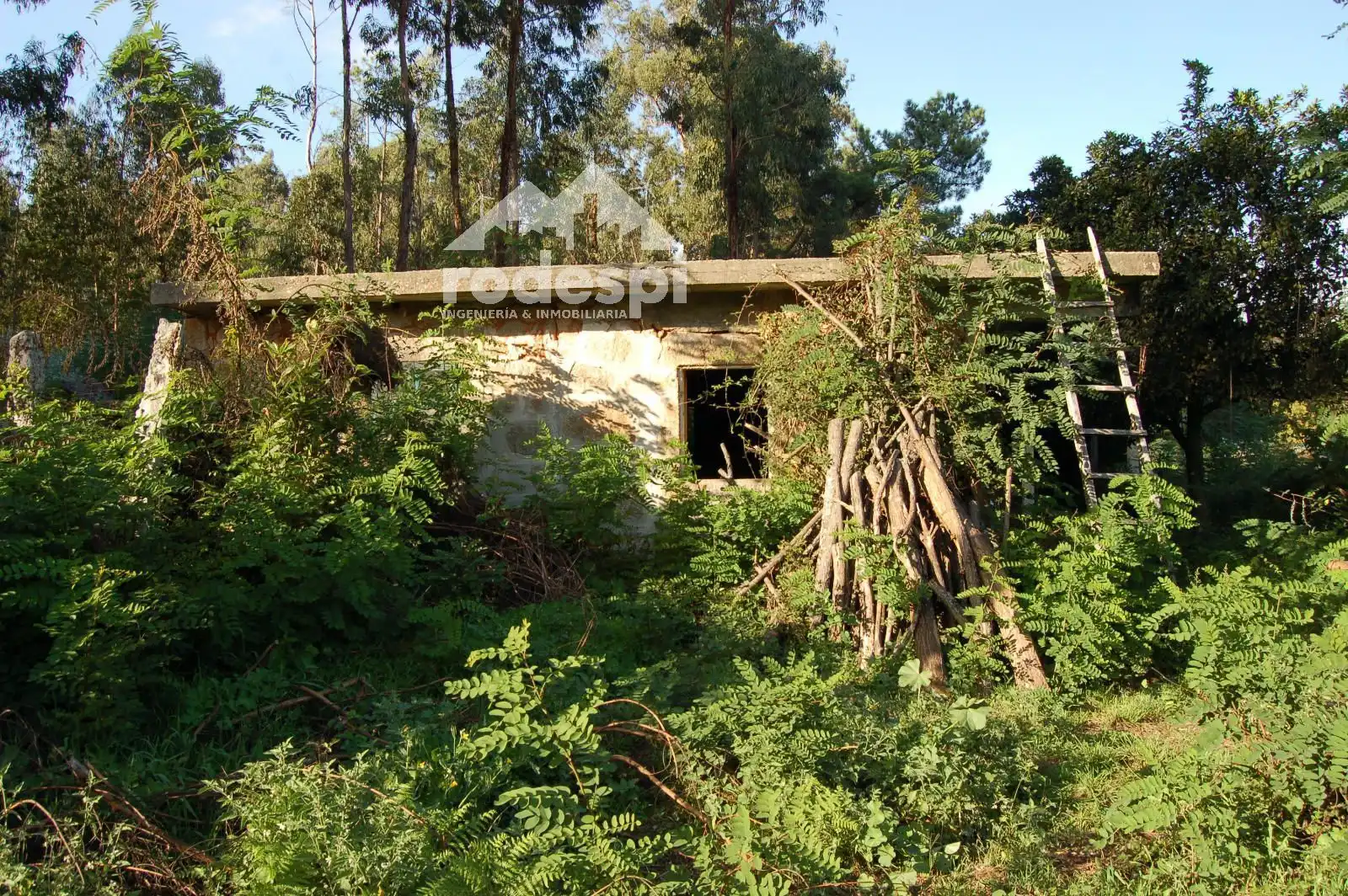 Terreny rústic en venda a Salvaterra de Miño, imagen 3