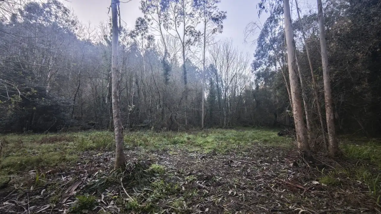 Terreno rustico in vendita a Pría - Nueva-Hontoria - Naves, imagen 7
