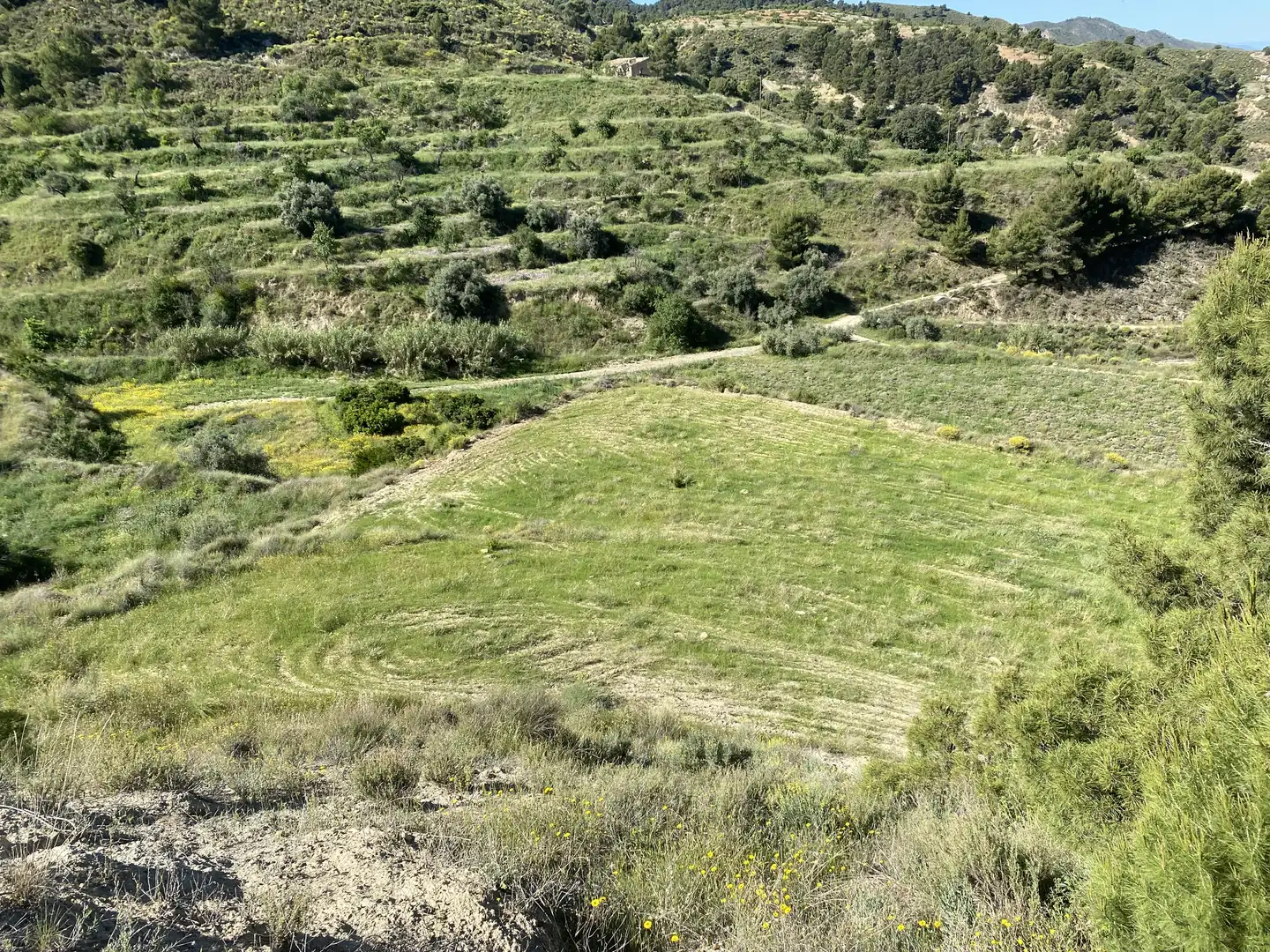 Residential for sale in 79. Parcela, Puntarrón