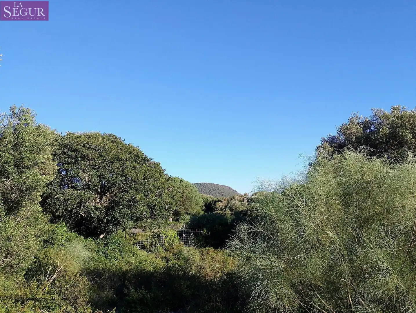 Terreno rustico in vendita a Barbate ciudad, imagen 9