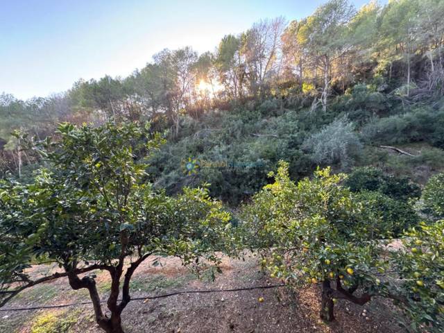 Terreno en Venta en Simat de la Valldigna