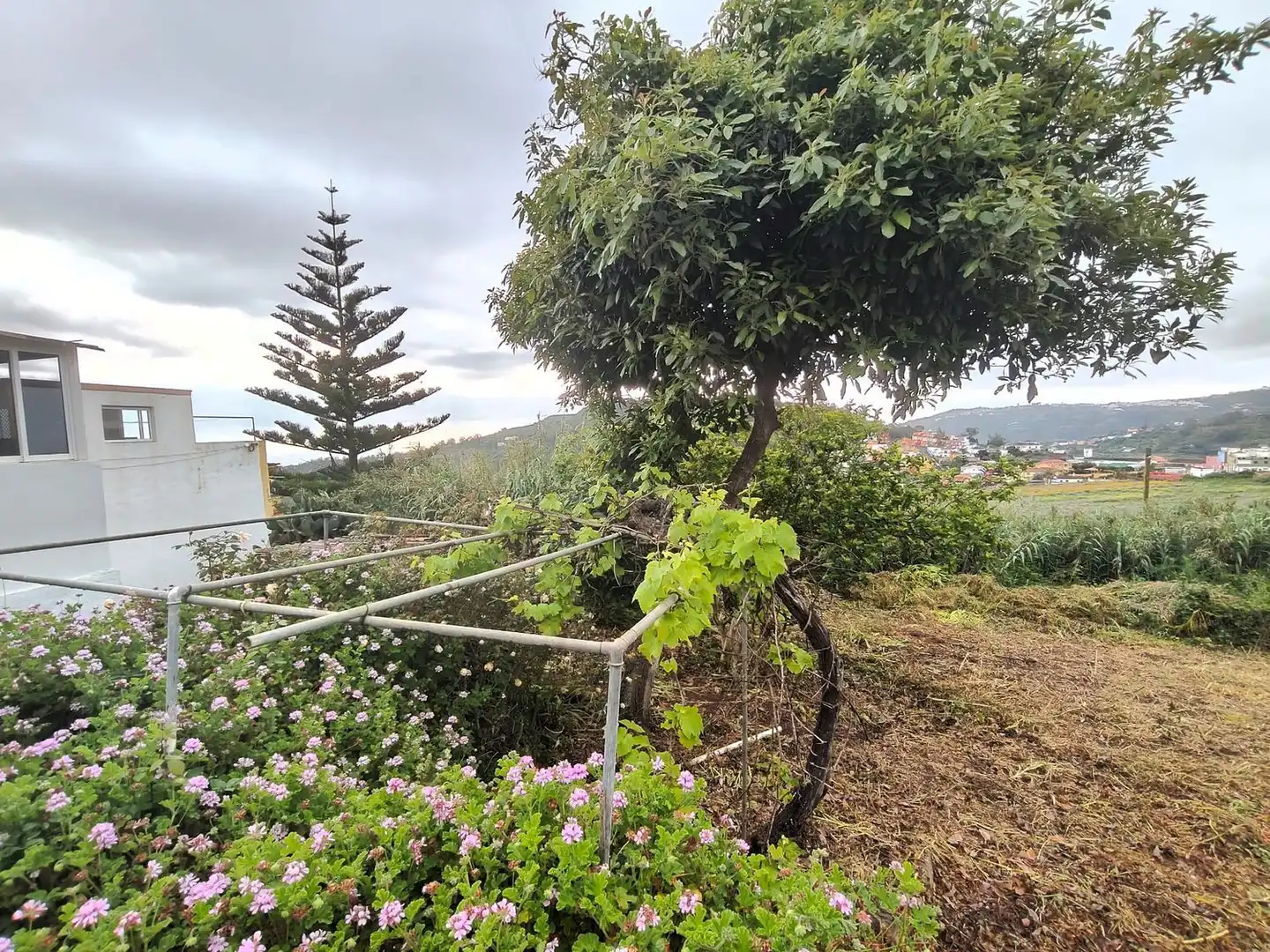 House with garden for sale in Los Peñones, imagen 28
