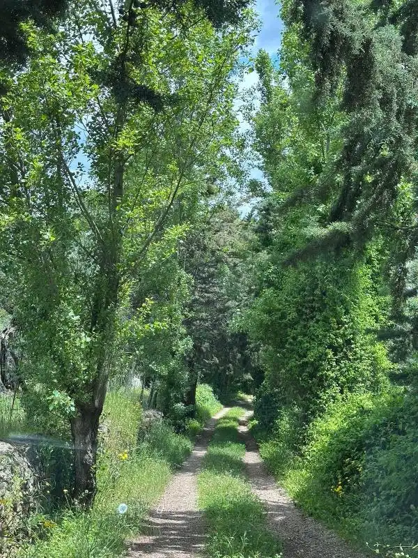 Vista exterior de Casa o chalet en venta en Aracena con Calefacción, Jardín privado y Terraza