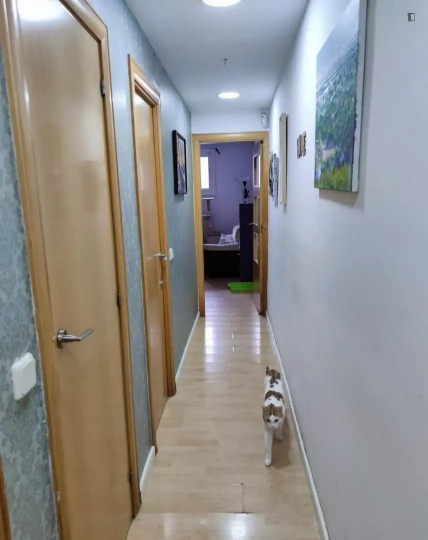 Habitació a Sanfeliu