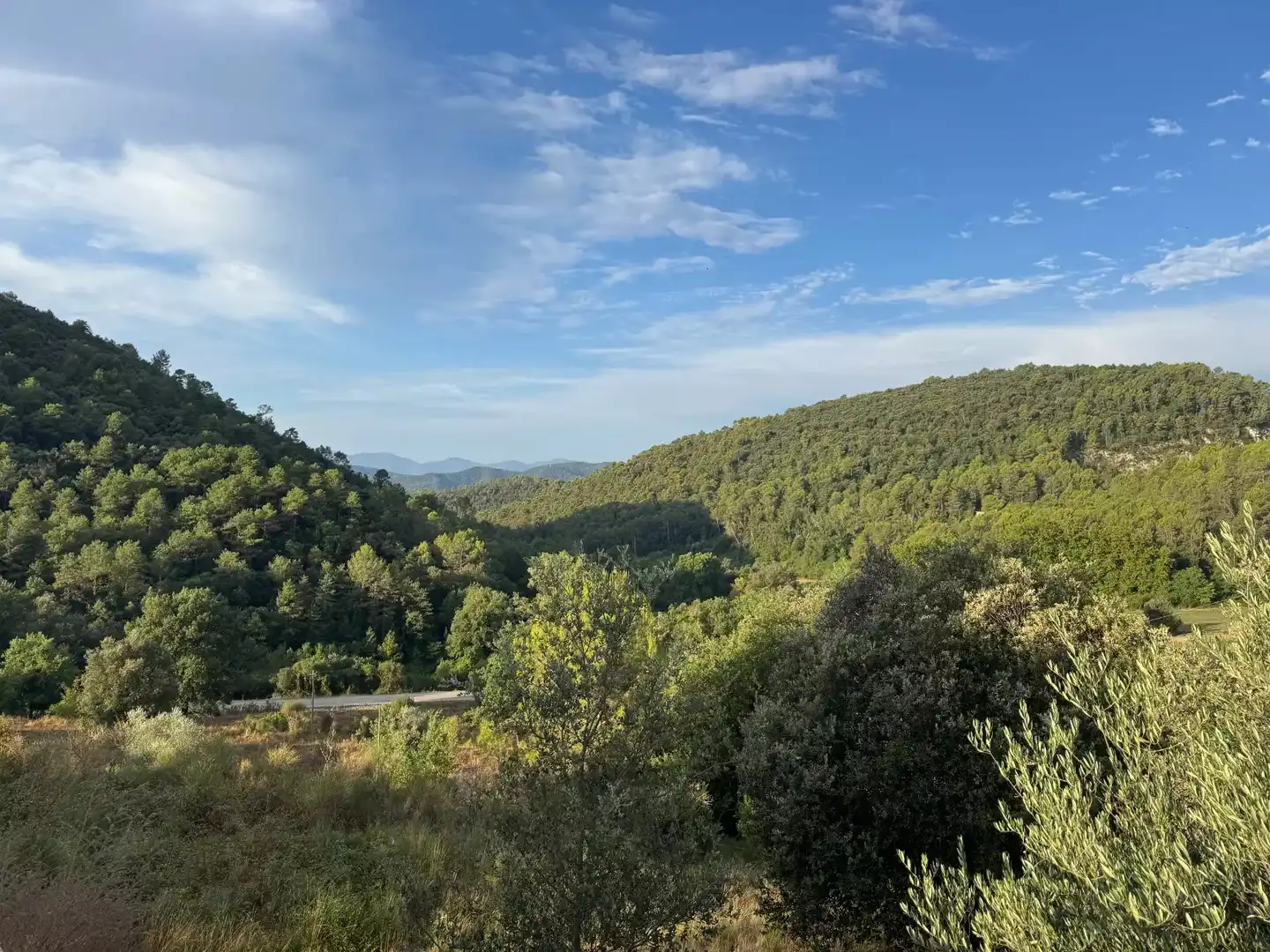 Terrain résidentiel à vendre à Beuda, imagen 6