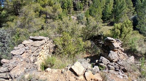 Fórnoles-Finca rústica en plena naturaleza, imatge 3