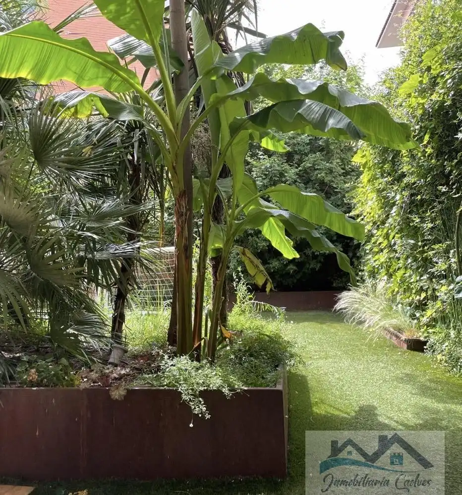 Ground floor for rent in Boadilla del Monte, Madrid