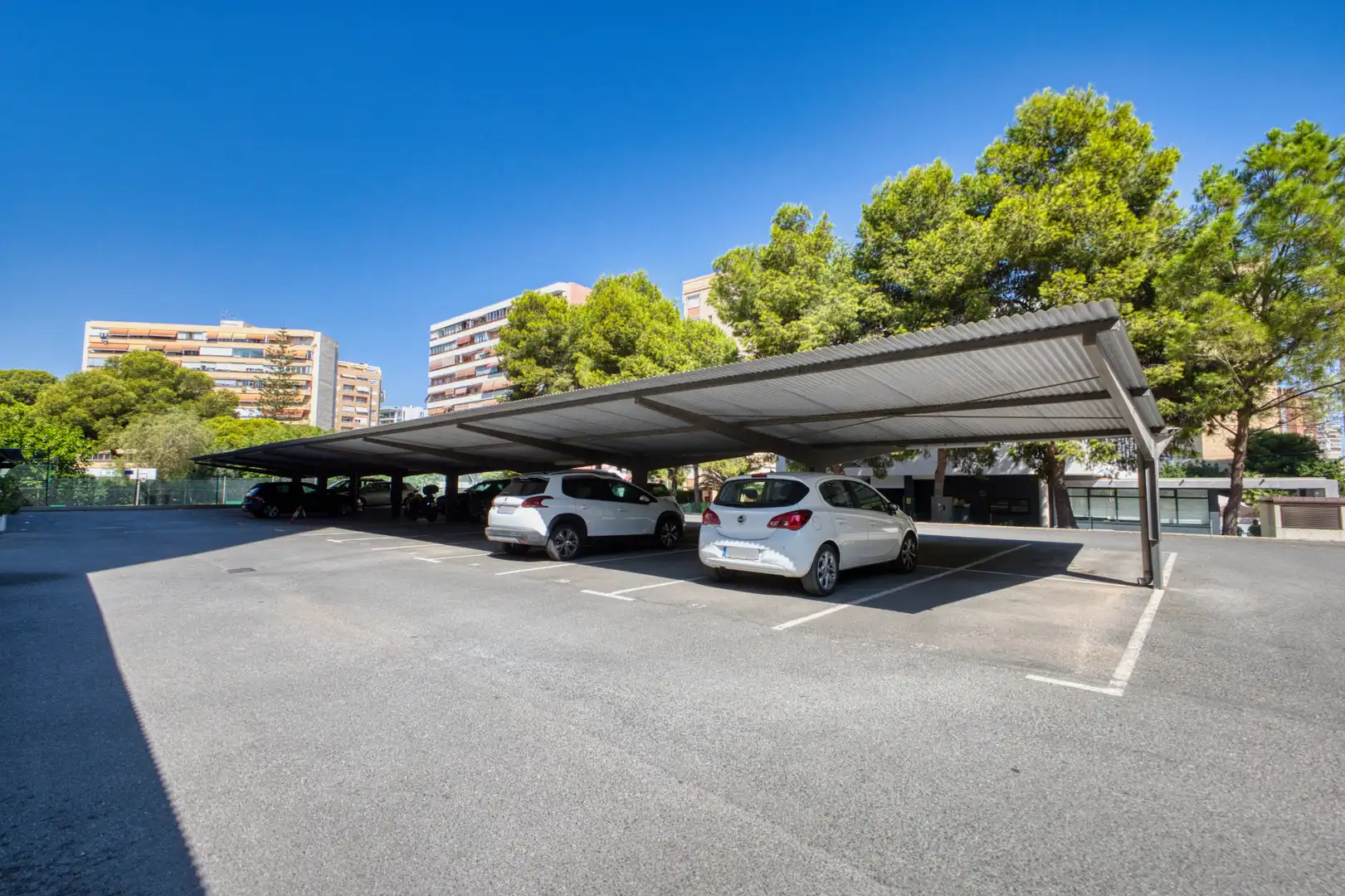 Pis amb piscina de lloguer a Carrer Anguila, imagen 53