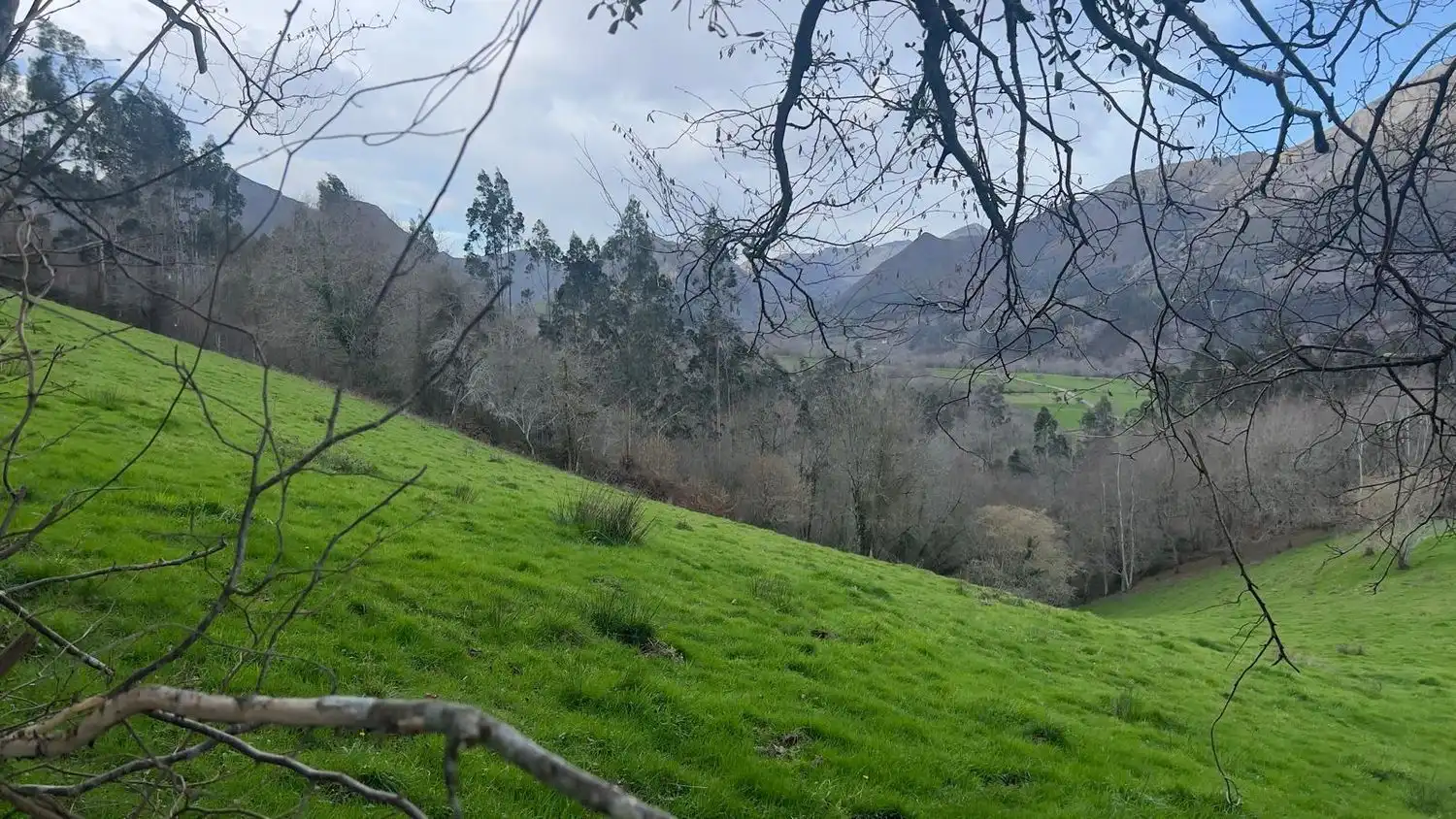 Residencial en venda en Llanes