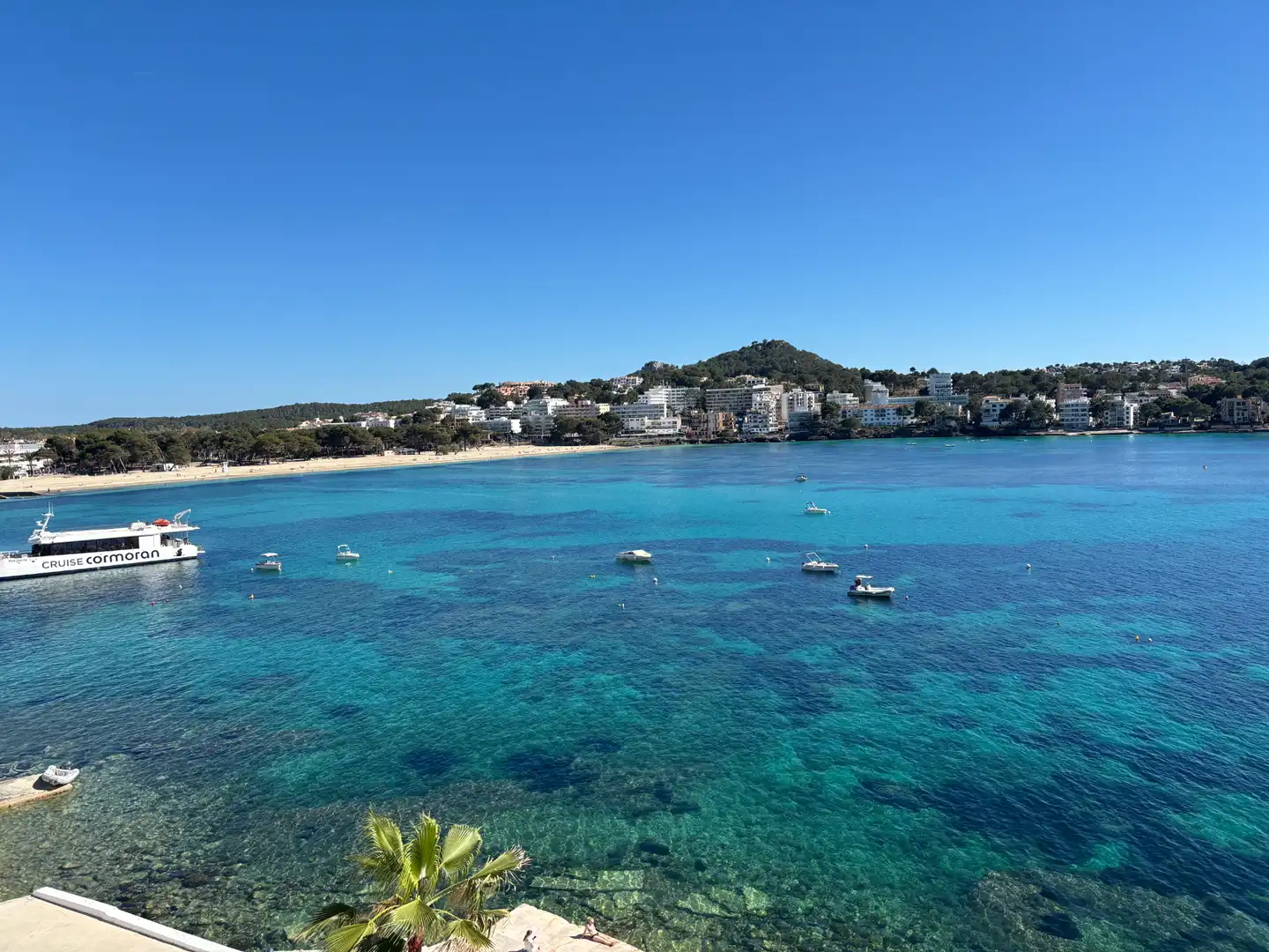 Study for sale in Calvià  with Air Conditioner, Terrace and Furnished