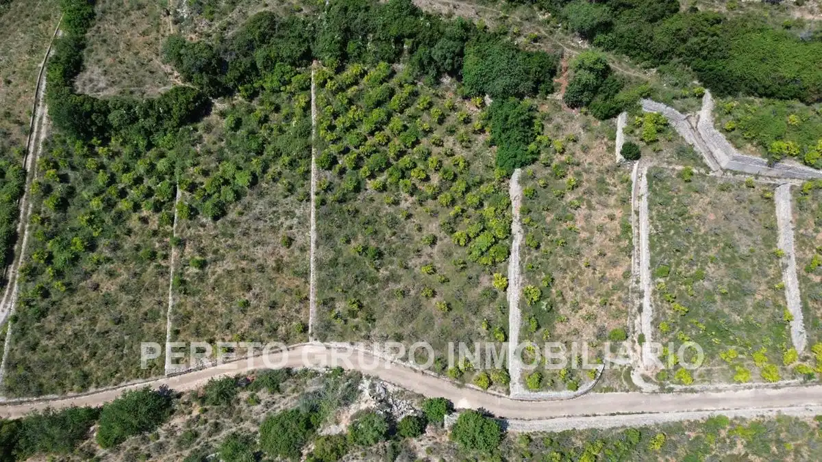 Terreno residencial en venta en Oliva pueblo, imagen 4