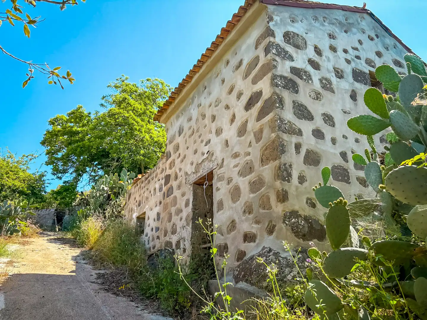 Vista exterior de Casa o chalet en venta en Valleseco