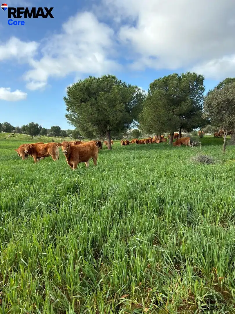 Exterior view of Land for sale in Valencia de las Torres