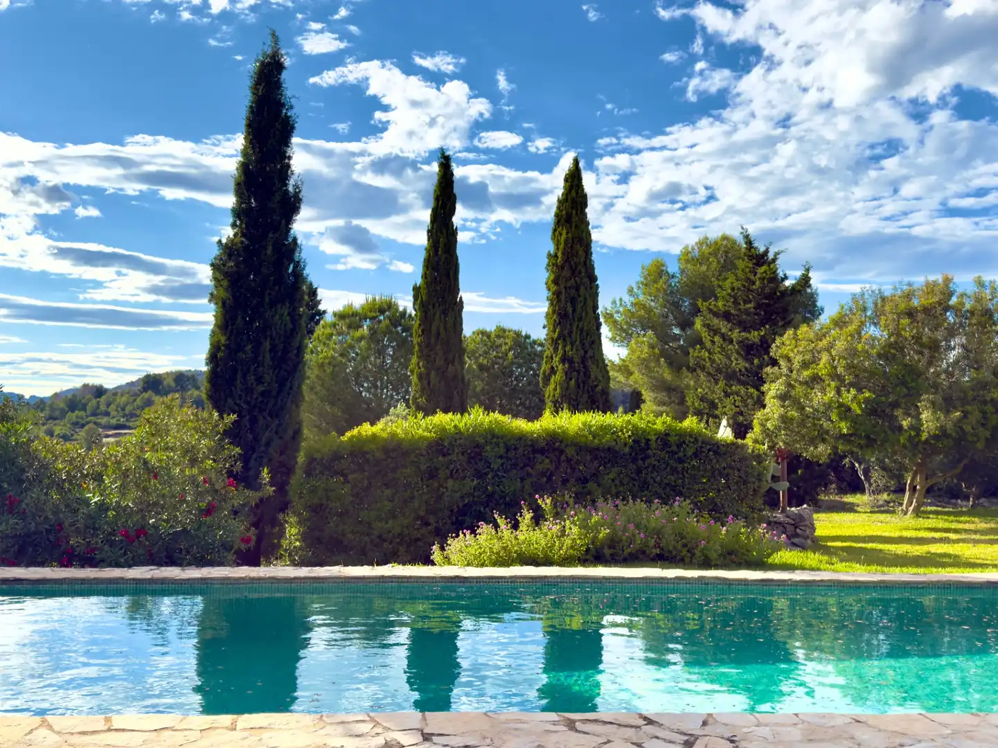 Swimming pool of Houses for sale in Dénia  with Heating, Private garden and Terrace