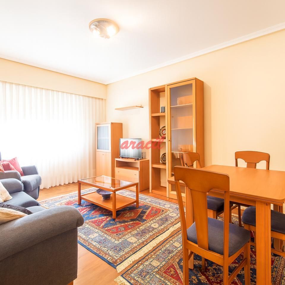 Sala d'estar de Apartament de lloguer en Ourense Capital  amb Calefacció, Parquet i Traster