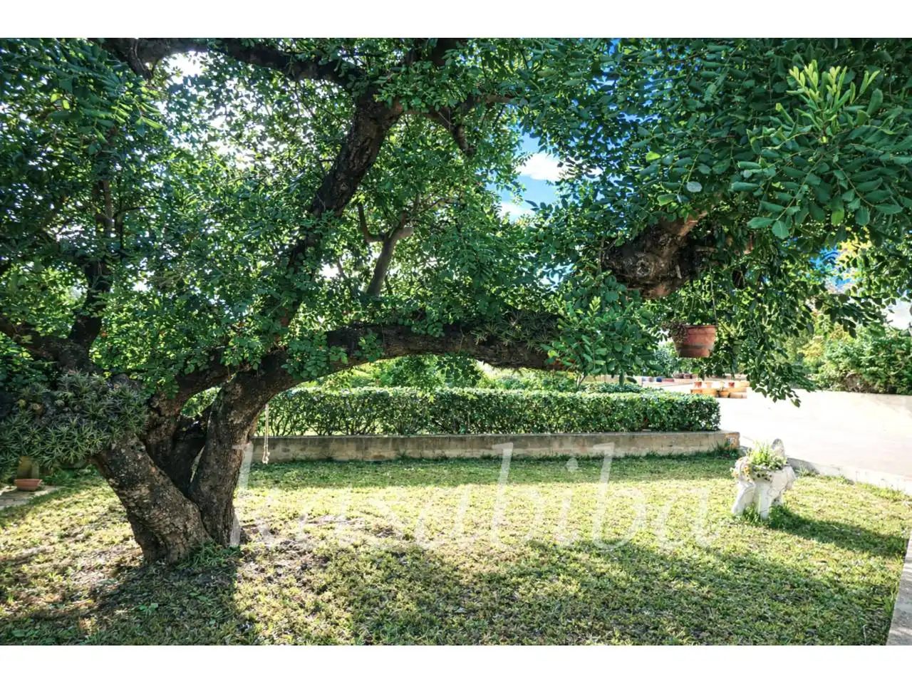 Jardín de Casa o chalet en venta en Náquera con Jardín privado, Terraza y Piscina
