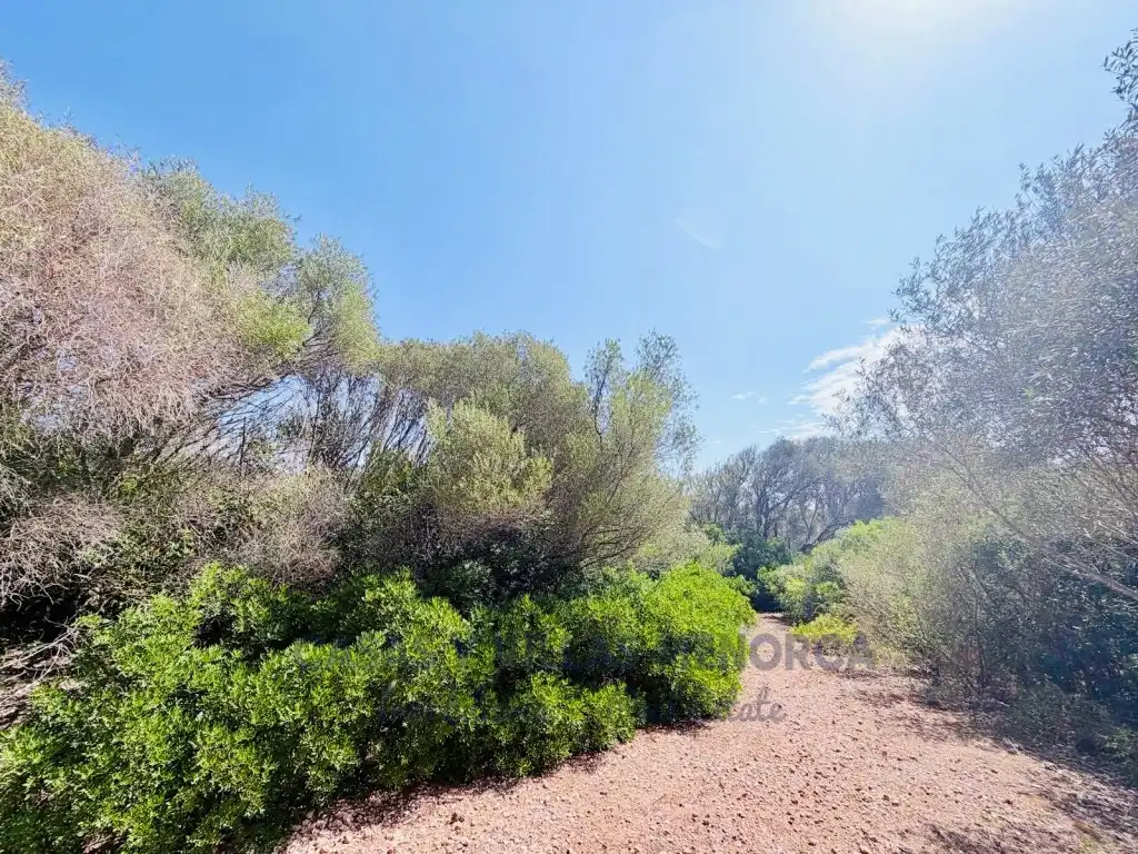 Finca rústica en venda en Sant Lluís