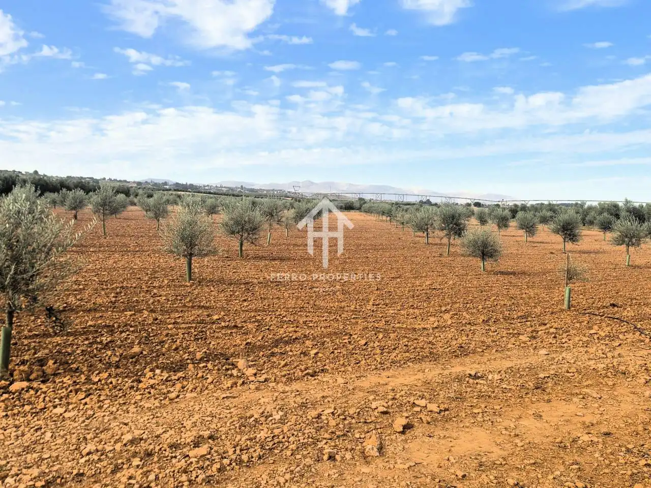 Rural land for sale in Moraleda de Zafayona, imagen 6