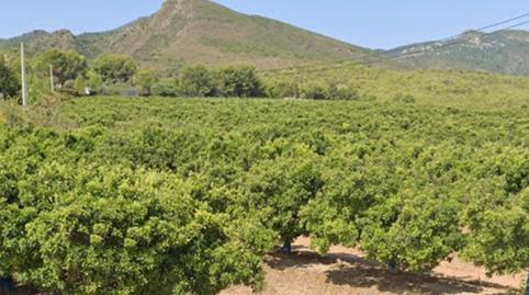 Foto 4 de Finca rústica en venda a Torres Torres, Valencia